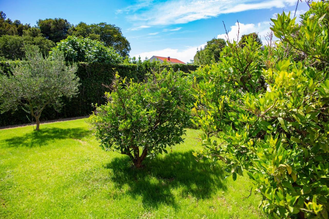 Iadertina Apartment Ζαντάρ Εξωτερικό φωτογραφία